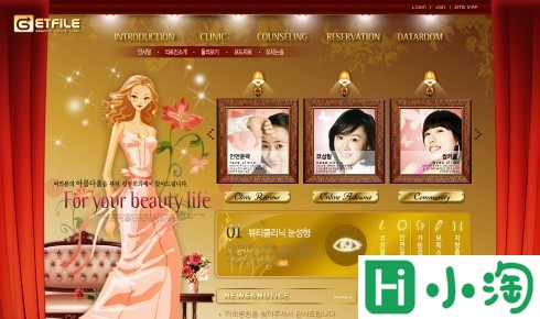 金色整形美容机构网页模板
