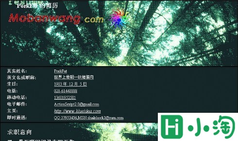 深绿森林个人简历模板